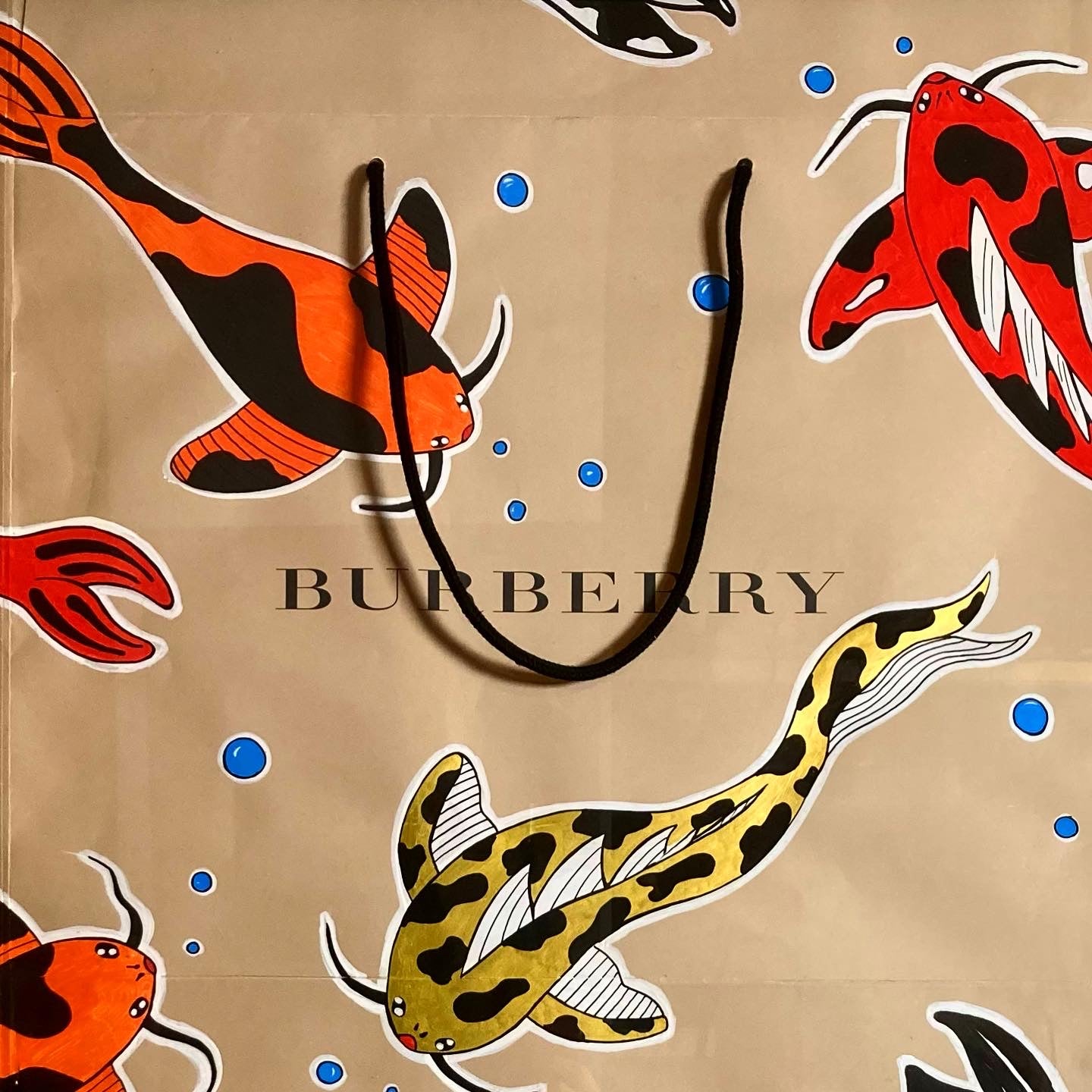 Serie Buste (carpe su busta BURBERRY)